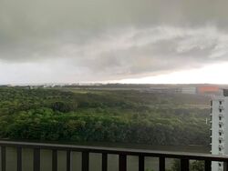 Heron Bay (D19), Condominium #475777471